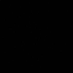 Meet your Posher, Stasha